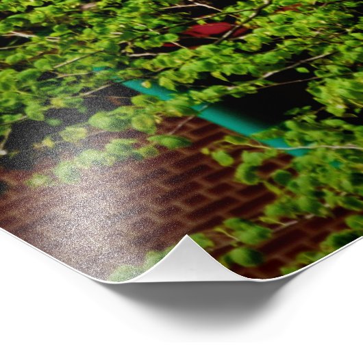 "May Dreams Soar" Fotodruck (Ecke)