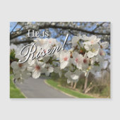 May Flowers Easter Magnet (Vorderseite)