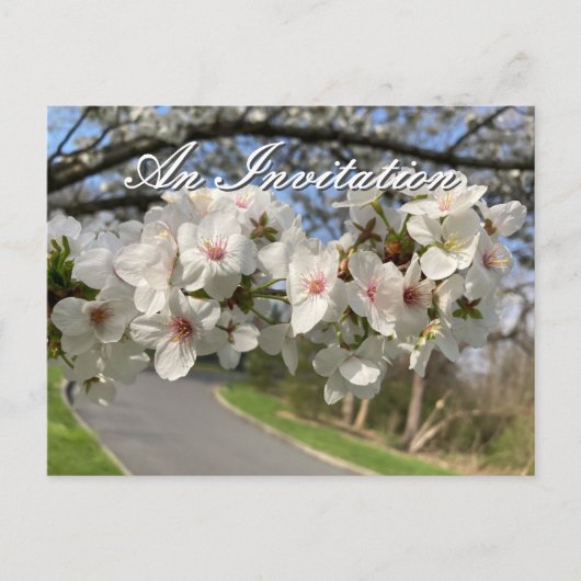 May Flowers Invitation Postcard Postkarte (Vorderseite)