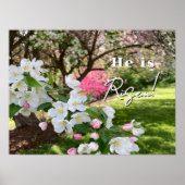 May Flowers Pink Easter Poster (Vorne)