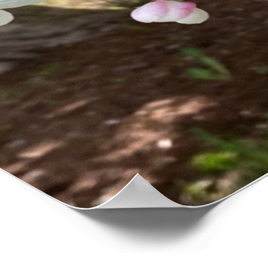 May Flowers Pink Rejoice Always Poster (Ecke)