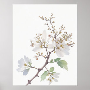 May Hawthorn Birth Blume Poster
