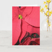 May Holy Angels Karte (Gelbe Blume)