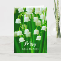 May Lily of the Valley Birth Month Blume Geburtsta