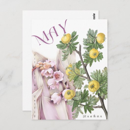 May Month Blume Lily of the Valley Hawthorn Extrav Postkarte (Vorne/Hinten)