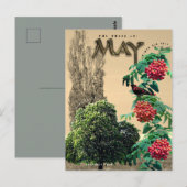 May Month Trees Kastnut Rowan Ash, Poplar 2 Postkarte (Vorne/Hinten)