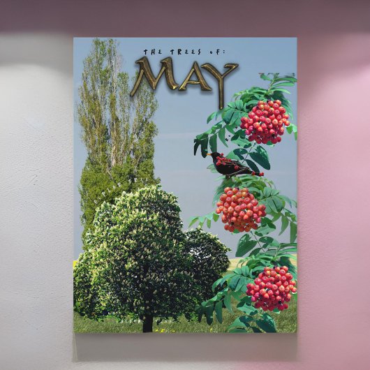 May Month Trees Kastnut Rowan Ash, Poplar Postkarte