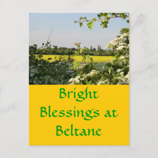 May Tree and Field in Beltane Postkarte