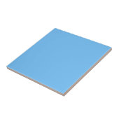 Maya Blue Solid Color Fliese (Seite)