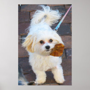 Maya mit Blatt-Druck Poster