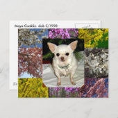 Maya Postcard Postkarte (Vorne/Hinten)