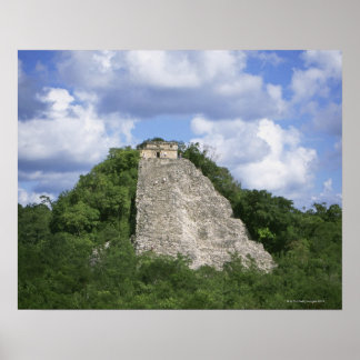 Maya-Ruinen von Coba, Yucatan, Mexiko Poster