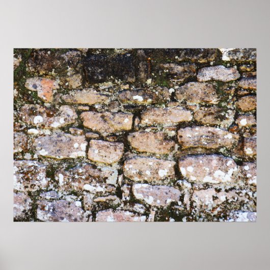 Maya-Ruinen Wand Poster (Vorne)
