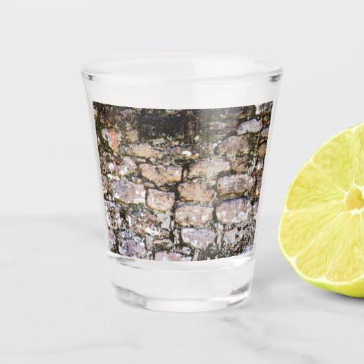 Maya-Ruinen Wand Schnapsglas (Vorderseite)