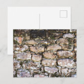 Mayan Ruins Wall Postkarte (Vorne/Hinten)