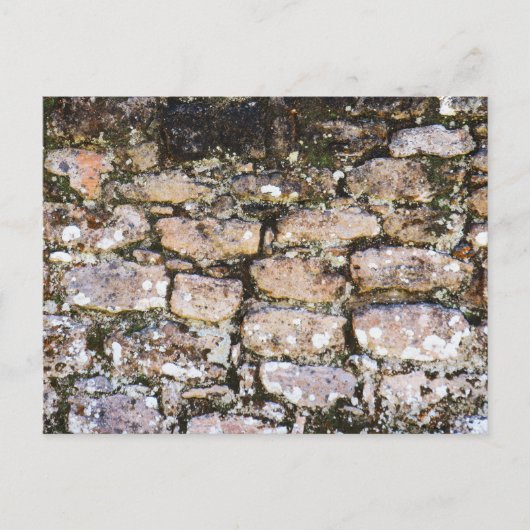 Mayan Ruins Wall Postkarte (Vorderseite)