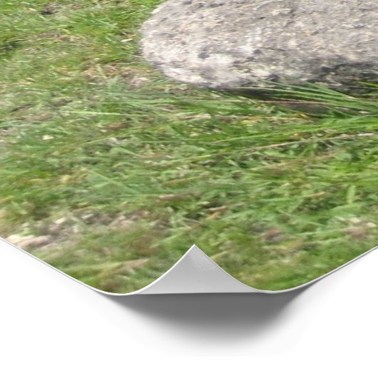 Mayan Snake Poster (Ecke)