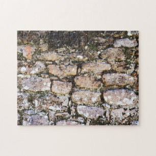 Mayanische Ruinenwand Puzzle