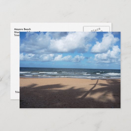 Mayaro Beach Shadows of Coconut Trees Postcard Postkarte (Vorne/Hinten)