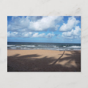 Mayaro Beach Shadows of Coconut Trees Postcard Postkarte