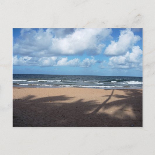 Mayaro Beach Shadows of Coconut Trees Postcard Postkarte (Vorderseite)