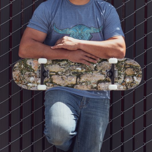 Mayaruinen Wand Skateboard (Außenbereich 3)