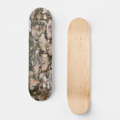 Mayaruinen Wand Skateboard (Vorderseite)