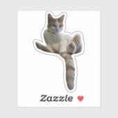 Maybe You Should Cover That Up? Cat Aufkleber (Blatt)