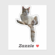 Maybe You Should Cover That Up? Cat