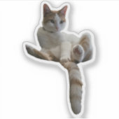 Maybe You Should Cover That Up? Cat Aufkleber (Vorderseite)