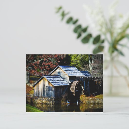 Mayberry Mills Postkarte (Stehend Vorderseite)