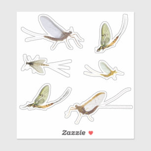 Mayflies Aufkleber