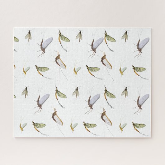 Mayflies Puzzle (Horizontal)