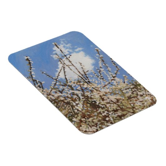 Mayflower 2012 magnet (Rechte Seite)