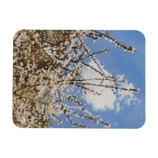 Mayflower 2012 magnet (Horizontal)