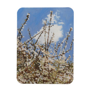 Mayflower 2012 magnet