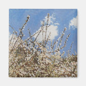 Mayflower 2012 magnet (Vorne)