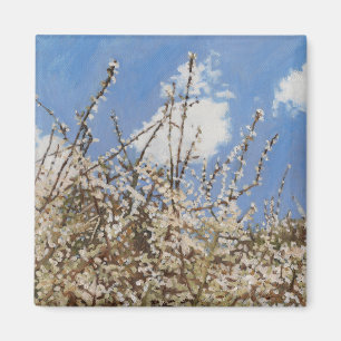 Mayflower 2012 magnet