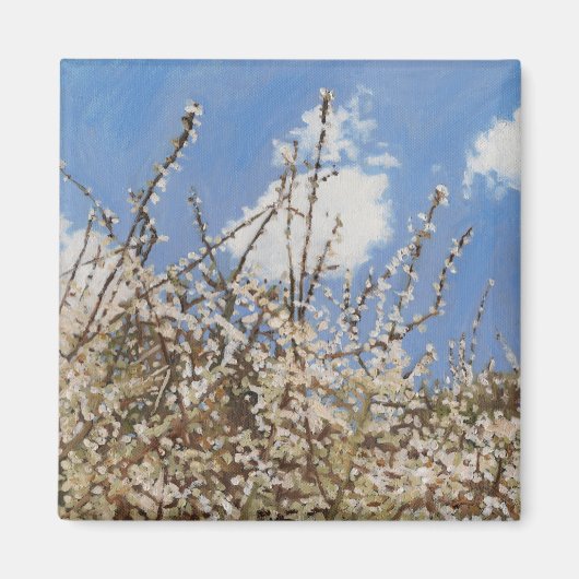 Mayflower 2012 magnet (Vorne)