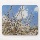 Mayflower 2012 mousepad (Vorne)