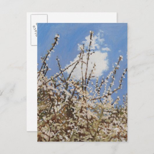 Mayflower 2012 postkarte (Vorne/Hinten)