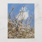 Mayflower 2012 postkarte (Vorderseite)