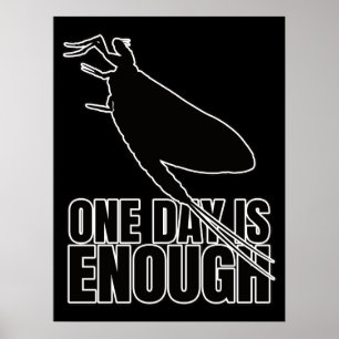 Mayflower One Day Flies - Entomology Geek Poster