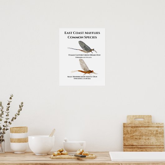 Mayfly Poster (Küche)