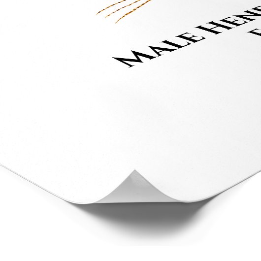 Mayfly Poster (Ecke)