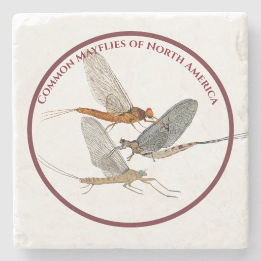 Mayfly-Untersetzer Steinuntersetzer (Vorderseite)