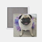 Maylene Magnet (Vorderseite/Rückseite)