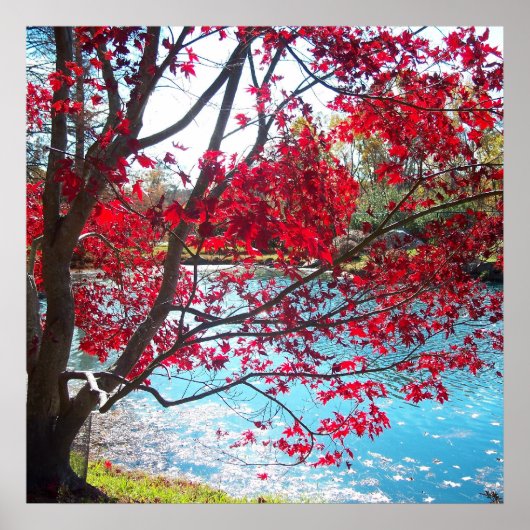 Maymont Gardens Red Maple Treatment New Orleans Cl Poster (Vorne)