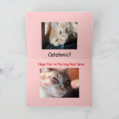 Maynard das Maine Coon2, Kranker als… - Besonders Karte (Innenseite)