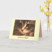 Maynard das Maine Coon2, Kranker als… - Besonders Karte (Gelbe Blume)